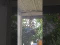 RL bahan belok sampek 1minggu dah lumayan