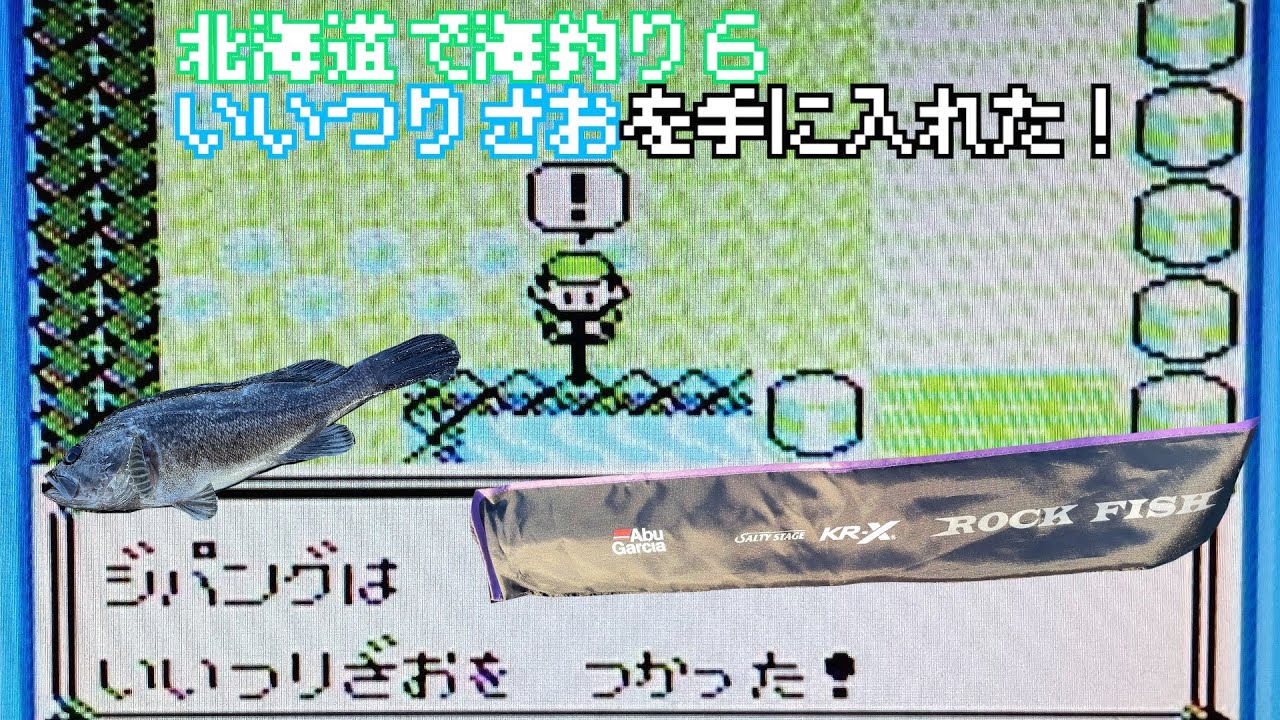 北海道で海釣り６ 先輩からいいつりざおをいただいたので 早速釣ってみた Abugarciaの釣竿 Youtube
