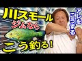【村田基】川スモールをミラクルジムならどう釣るか【切り抜き】