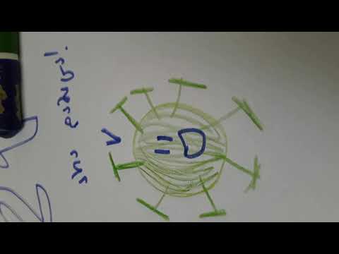 2020 მოკვდა  და  გაჩნდა 2021