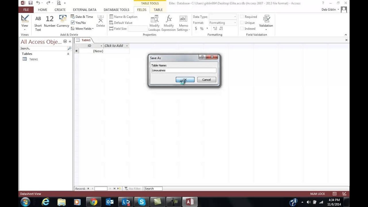 microsoft access 2013 tutorial 5 case problem 2