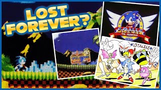 The Sonic game lost to time?! The 1990 Tokyo Toy Show Sonic The Hedgehog Beta (LOST MEDIA)
