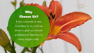 The Best Florist in Berkeley CA - Orchid Florist