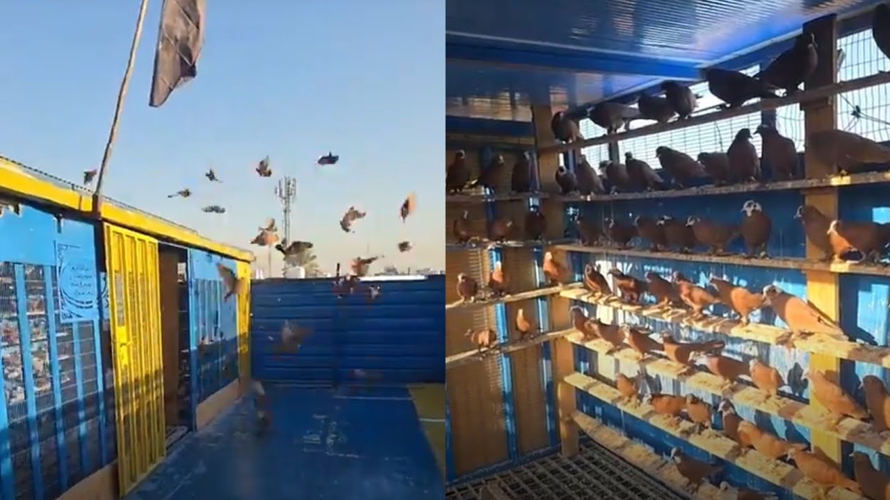 زياره ميدانيه فصل صبح يم عمر ابو لبلديات 