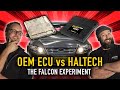 🚀 Dyno time! OEM vs Aftermarket ECU | OGSIXE - THE FALCON EXPERIMENT - EP 1