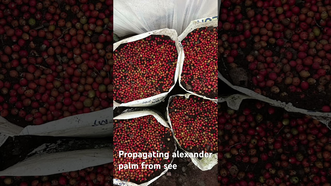 #propagating