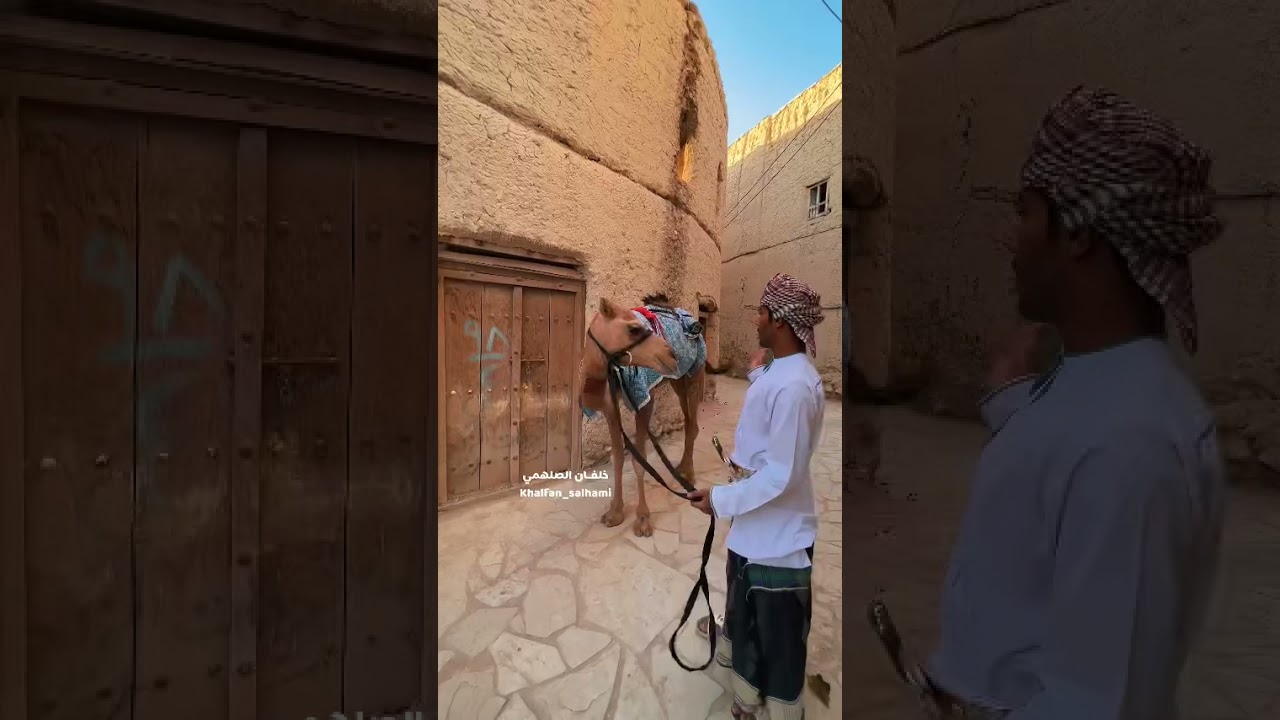 قصة الجمل سعود وإلياس