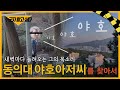 동의대, 야호아저씨를 찾아서