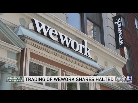 WeWork stock halted as rumors swirl about bankruptcy preparations for the office sharing company