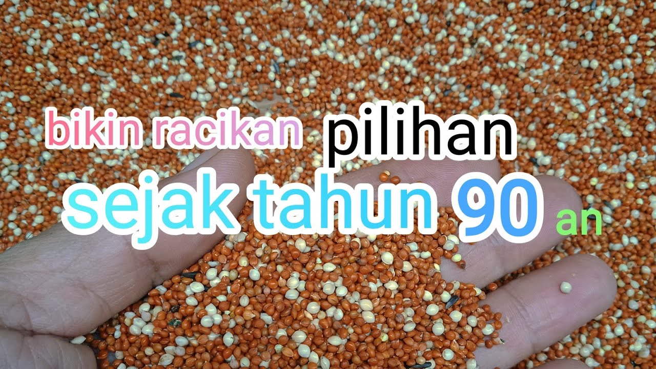 cara membuat makanan  khusus blackthroat  yang tepat /deskripsi 👇