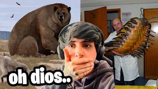 Animales Gigantes Que Existieron