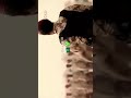 حنا جنود المملكة اسود وسط المعركة 