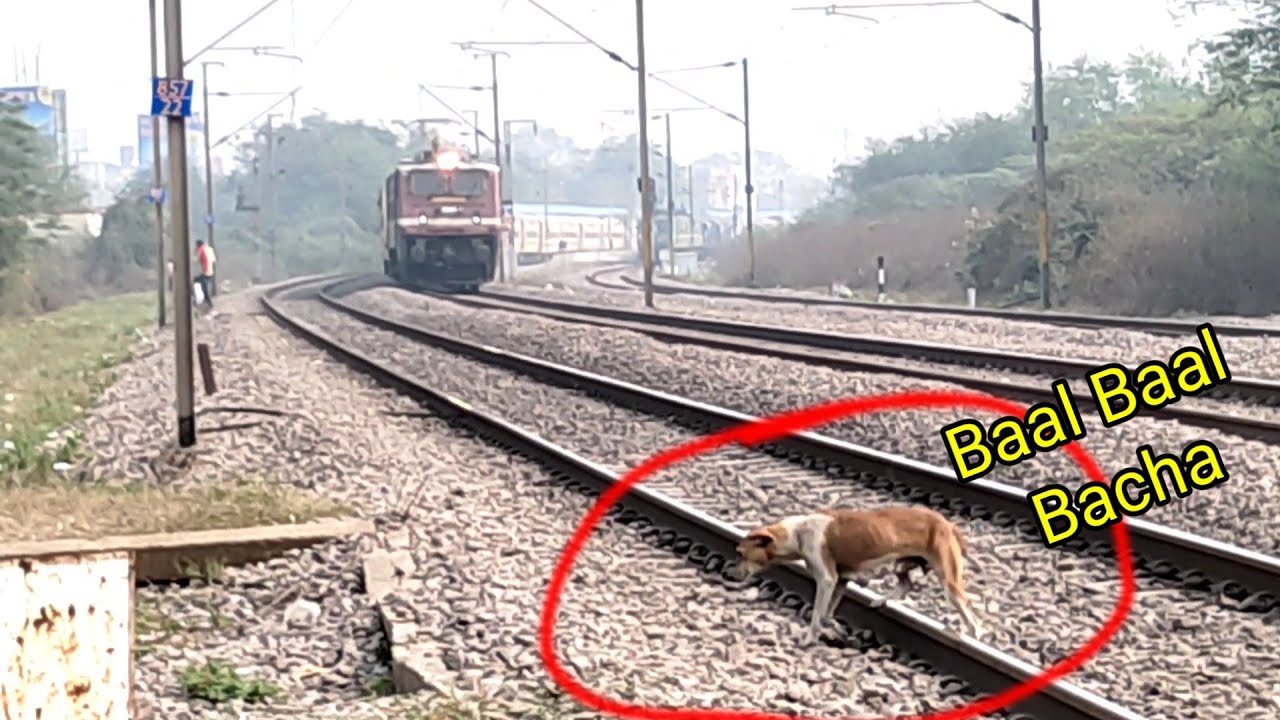 Back to back trains thrashing at bhilai..... ||IT'S RY THE RAHUL VLOGS||