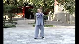 混元太极48式炮锤 冯志强 Hunyuan Tai Chi 48 Cannon Fists GM Feng Zhiqiang