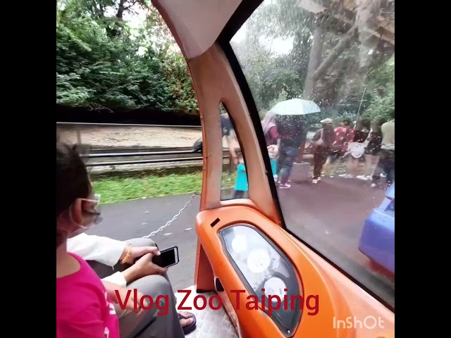 Vlog Zoo Taiping class=