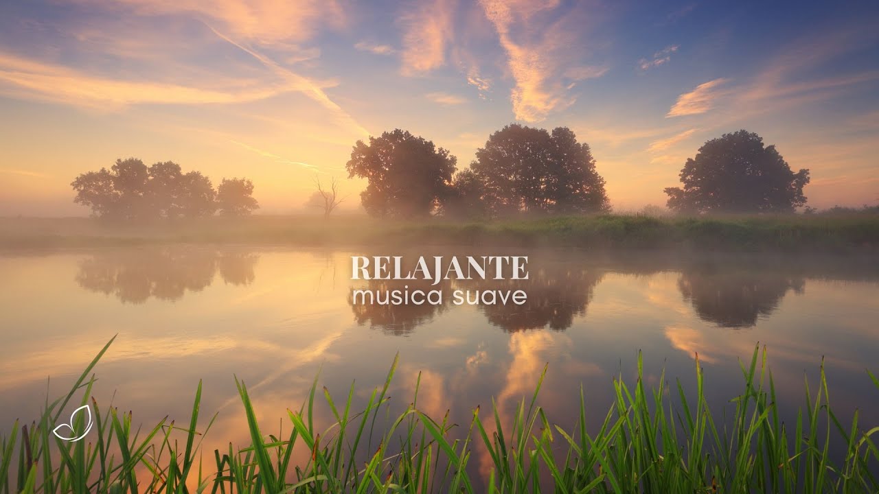 Música Instrumental Relajante ZEN para Calmar la Mente y Sanar el Alma ...