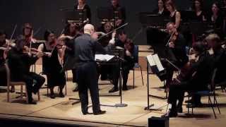 Orchestra of the Swan -A Viennese Twist- 2 Jan 2016 Warwick Arts Centre