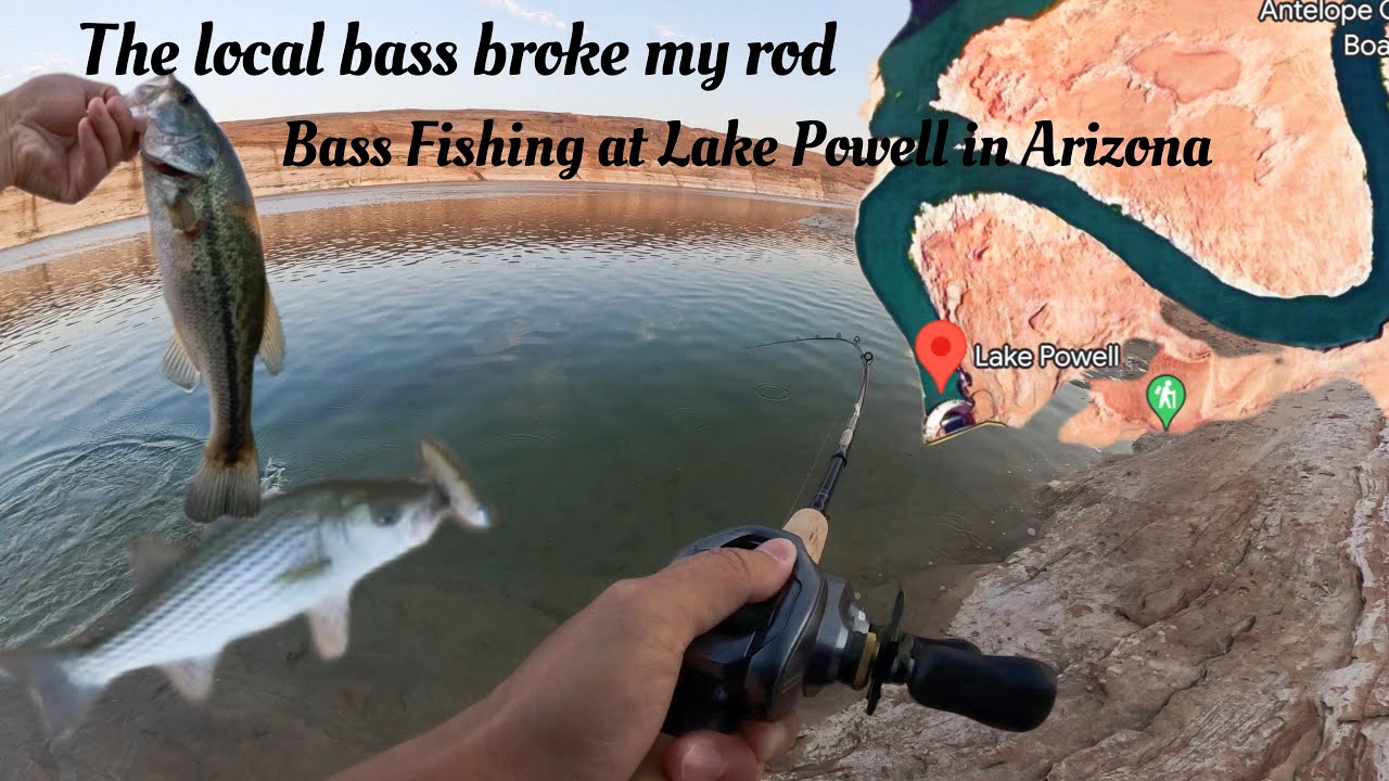 The local Bass Broke my Rod | Bass Fishing at Lake Powell in Arizona