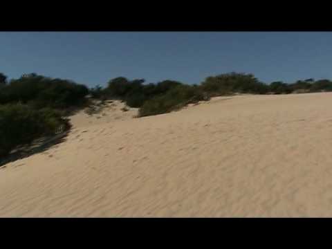 Le Dune del Little Sahara (Kangaroo Island, South Australia) My pictures and story on www.tropiland.it