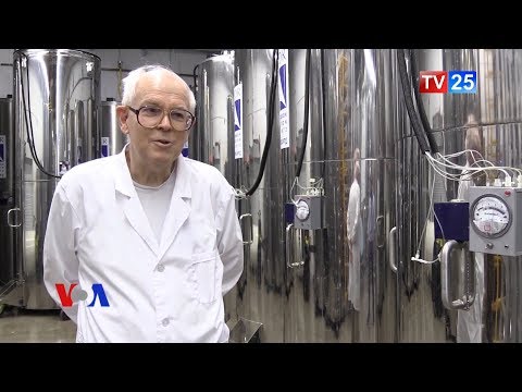 ალკორი ადამიანის გაცოცხლების შანსს ყიდის