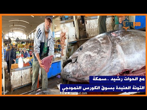 خيرات بلادي سمكة التونة العنيدة بسوق الكورس النمودجي شحال فيها من كيلو وبشحال الثمن