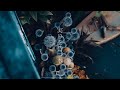 『実りを待つ木』