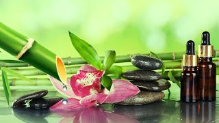 Bamboo Water Sound, Relaxing Music Reduces Stress, Anxiety, Depression, Heals the Soul, Deep Sleep