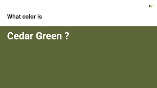Cedar Green color #5e6737 hex color - Green color - Cool color 5e6737
