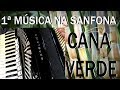 1ª música na sanfona - Cana Verde #muitofacil