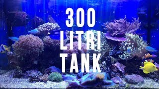 Acquario da 300 litri marino - Reef aquarium saltwater fish 300 Liters Tank