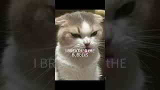 I Was Washing My Face Meme