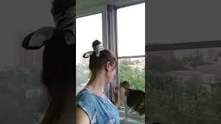 Не торопитесь жить. #catshorts #catvideos #kitty #meow #animals #pets #красиваякошка #дом #лето