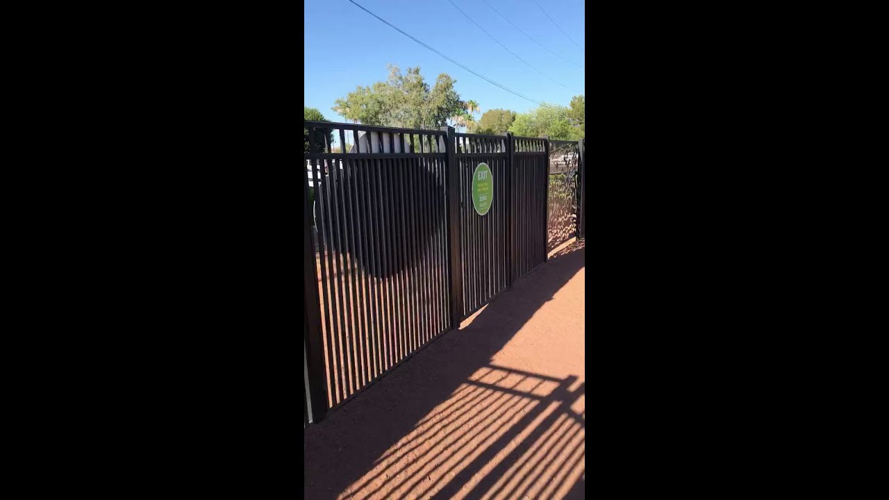 Pocket Park for Pups Queen Creek, Arizona Dog Park YouTube
