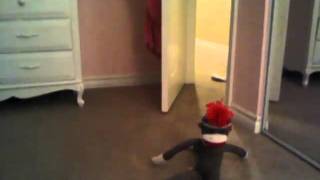 sock monkey comes alive!!!!