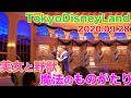 東京ディズニーランドの最新最高アトラクション。美女と野獣"魔法のものがたり”に乗ろう。