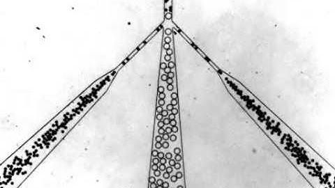 Droplet based microfluidics ESPCI LBC Sorting2