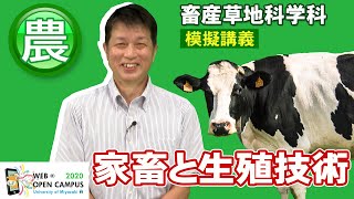 「家畜と生殖技術」農学部・續木 靖浩