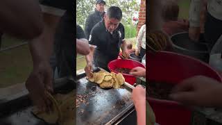 Los Famosos Tacos de Santiaguito de Velazquez