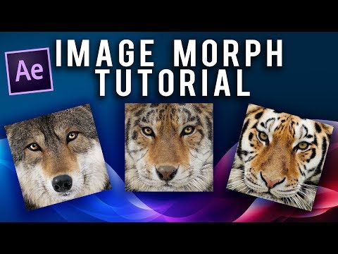 Morph Effect in After Effects [no plug-ins]