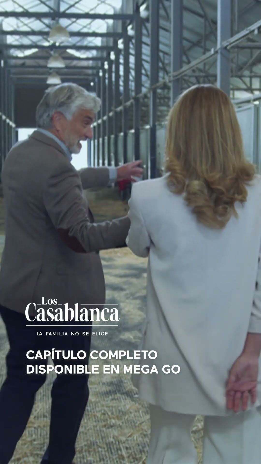 ¿Qué está pasando entre Miranda y Raimundo? ?? #LosCasablanca #Shorts
