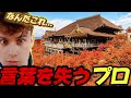 【感動】清水寺を初めて見たジオゲッサー海外プロの反応が面白すぎるwww【GeoGuessr】