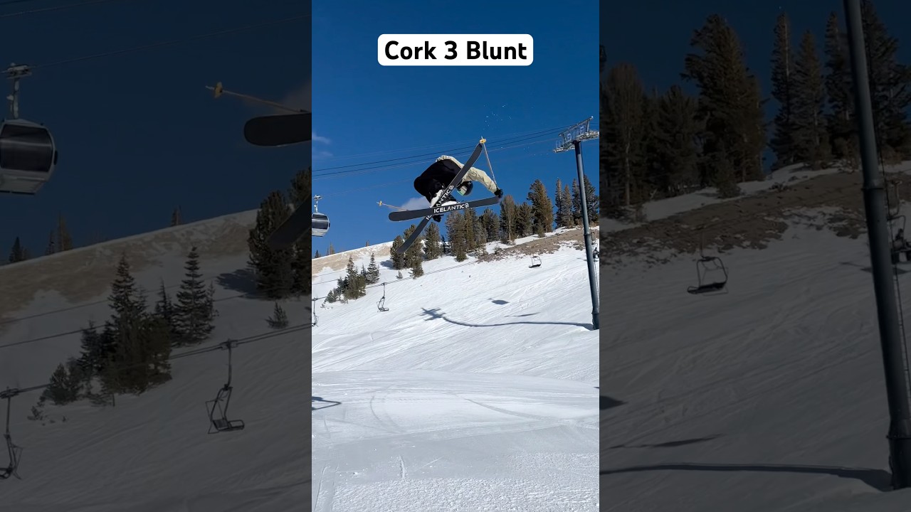 Cork 3 blunt 
