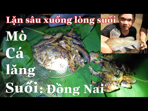 Video Mò Cá Suối Nướng Trên Đập bầu Cạn Đồng Nai - youtube