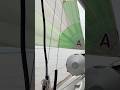 #sailingday #sailingvessels  #sailingfun #sailing #woodenboat