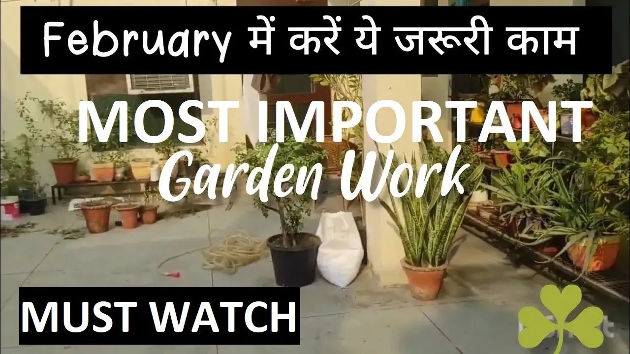 Important Gardening Work In February 