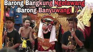 Download Lagu Barong Bangkung vs Barong Banyuwangi - Jembrana MP3