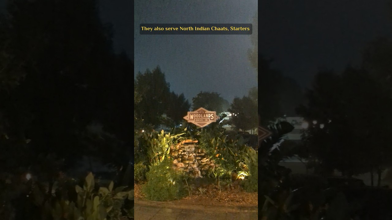 WOODLANDS DRIVE-IN📍Poonamallee High Rd, Arumbakkam 