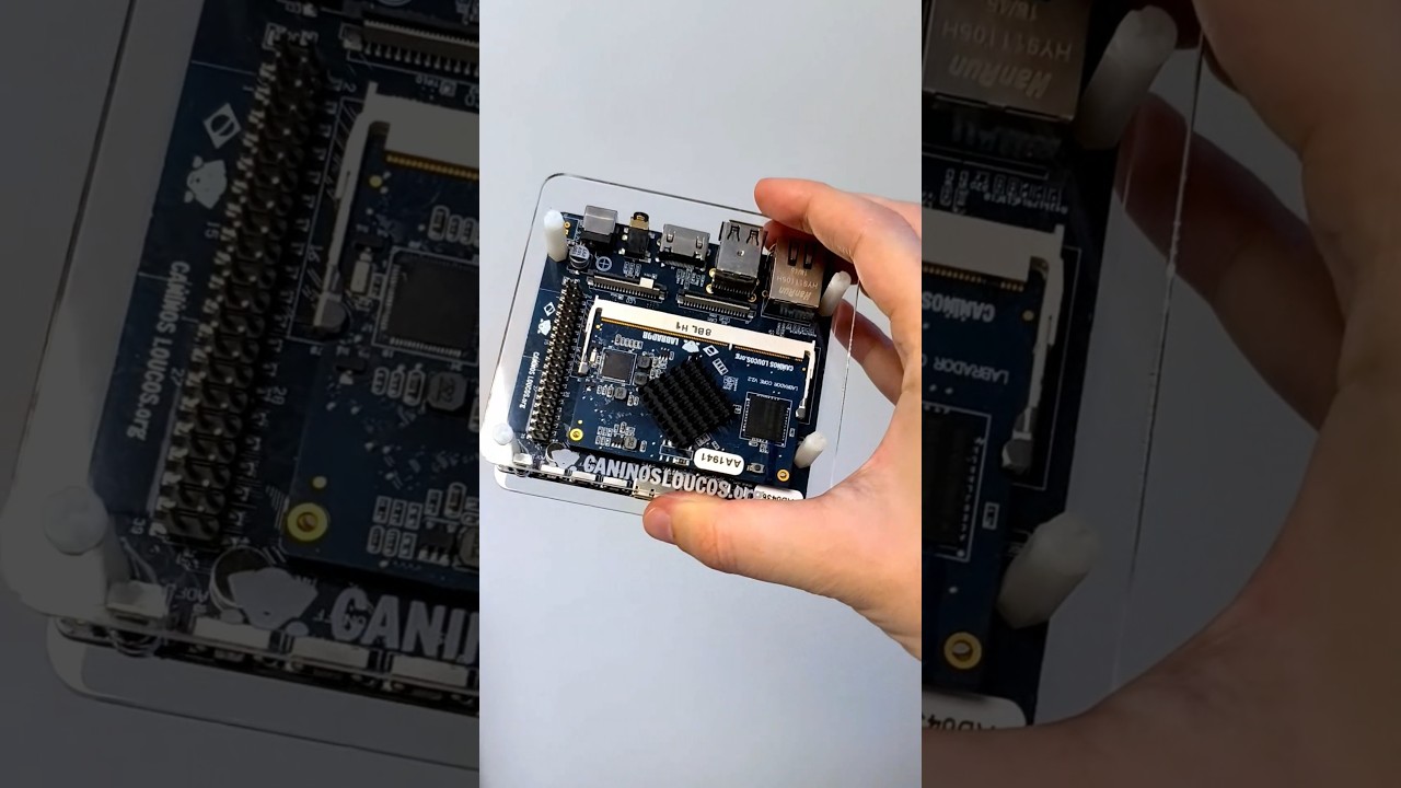 Labrador em teste: tecnologia aberta brasileira