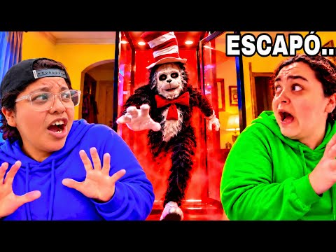 THE CAT IN THE HAT COSTUME IS TORTURING US! 😱😾 IT CAME TO LIFE AND ESCAPED FROM ITS DISPLAY CASE....