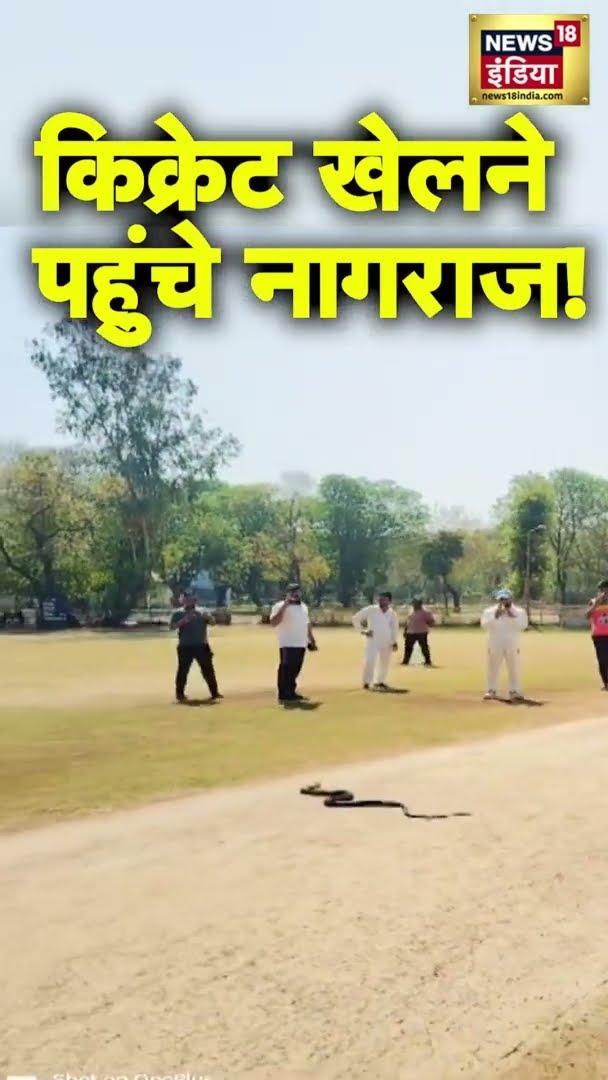 Match के दौरान Ground पर आया सांप | #Cricket | #Viral | #Bharuch